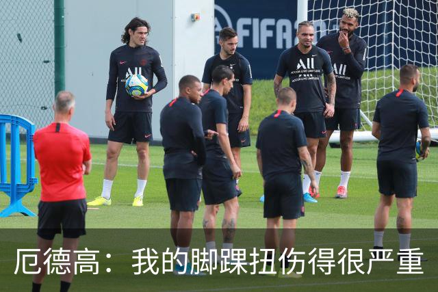 厄德高：我的脚踝扭伤得很严重